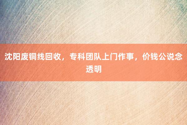 沈阳废铜线回收，专科团队上门作事，价钱公说念透明
