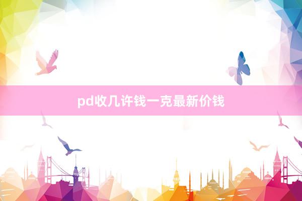 pd收几许钱一克最新价钱