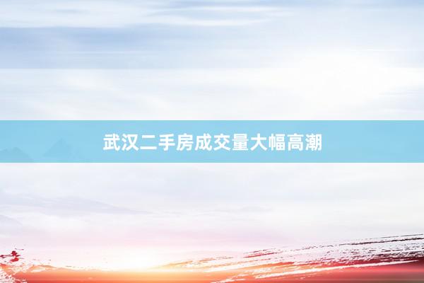 武汉二手房成交量大幅高潮